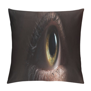 Personality  Close Up View Of Human Bright Eye Looking Away In Dark, Panoramic Shot Pillow Covers