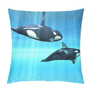 Personality  Killer Whale Pillow Covers