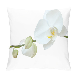 Personality  White Orchid Pillow Covers