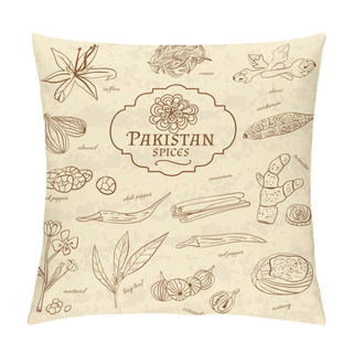 Personality  Set Of Spices And Herbs Cuisines Pakistan On Old Paper In Vintage Style. Vector  Pillow Covers