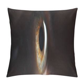 Personality  Close Up View Of Human Colorful Eye In Darkness, Panoramic Shot Pillow Covers