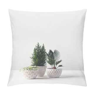 Personality  Beautiful Various Green Home Plants Growing In Decorative Pots On White  Pillow Covers
