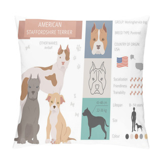 Personality  American Staffordshire Terrier Dogs Set. Color Varieties, Different Poses. Dogs Infographic Collection. Vector Illustration Pillow Covers