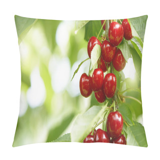 Personality  Fresh And Healthy Cherries On A Tree Pillow Covers