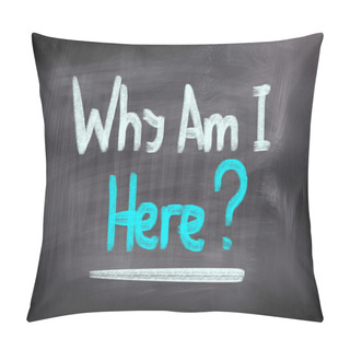 Personality  Why Am I Here Concept Pillow Covers