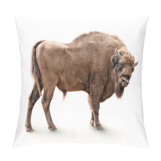 Personality  European Bison Isolated Pillow Covers
