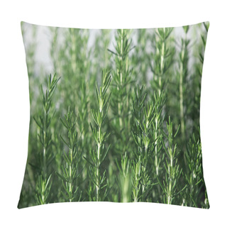 Personality  Rosemary Pillow Covers
