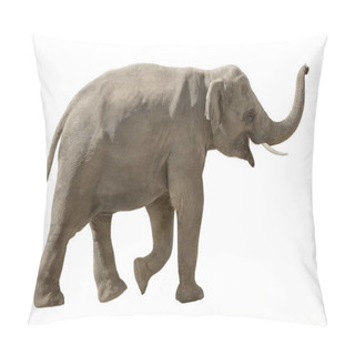 Personality  Cheerful Elephant Isolated On White Pillow Covers