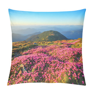 Personality  Amazing Summer Day. A Lawn Covered With Flowers Of Pink Rhododendron. Mountain Landscape With Beautiful Sky. The Revival Of The Planet. Location Carpathian Mountain, Ukraine, Europe. Pillow Covers