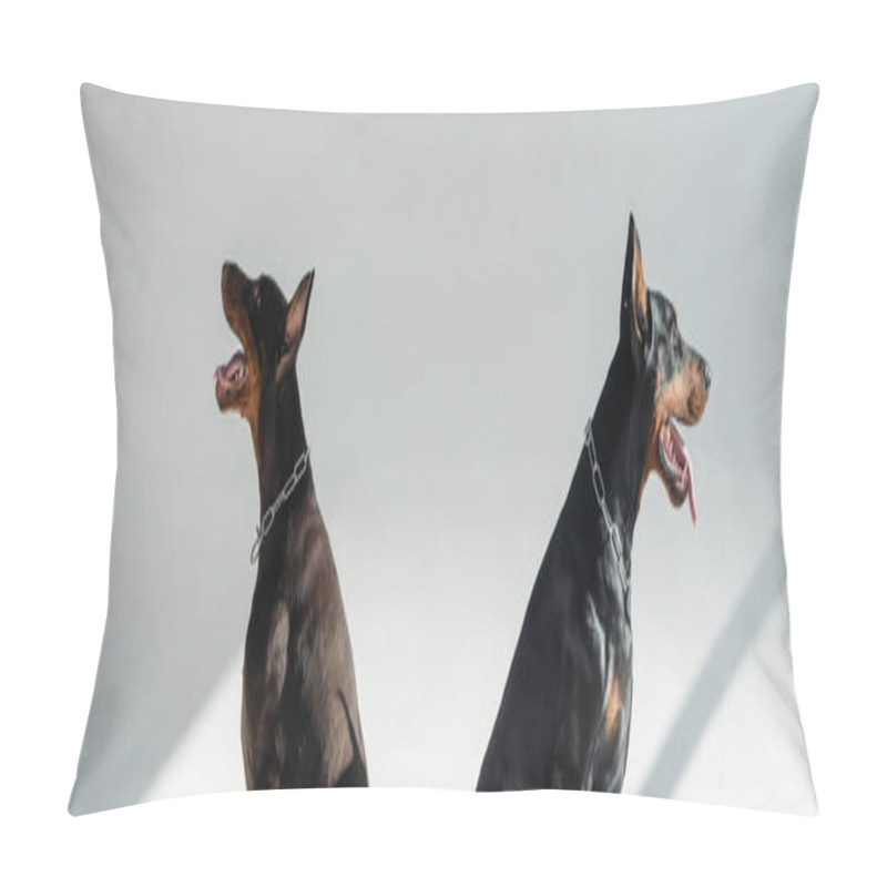 Personality  two dobermans sitting on grey background with shadows, banner pillow covers