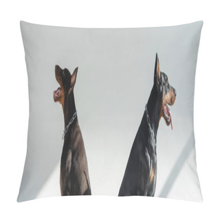 Personality  Two Dobermans Sitting On Grey Background With Shadows, Banner Pillow Covers