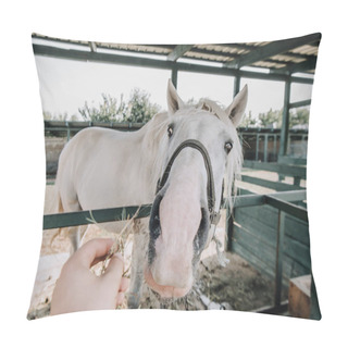 Personality  Partial View Of Man Feeding White Horse In Stable At Farm Pillow Covers