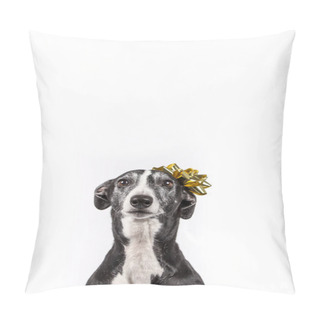 Personality  Greyhound With Christmas Gift Flower On The Head On White Background Conceptual Image Copy Space Christmas And New Year 2020 Symbol. Christmas Concept. Pillow Covers