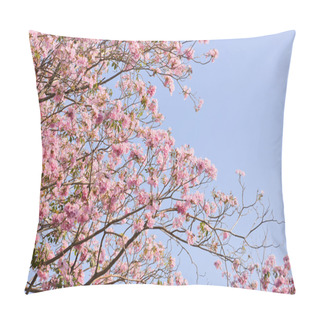 Personality  Pink Trumpet Pillow Covers
