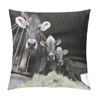 Personality  Cows Farm Pillow Covers
