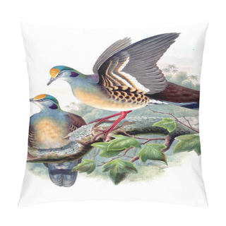 Personality  Illustration Of Animals Old Image Pillow Covers