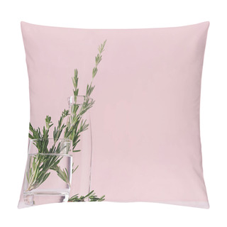 Personality  Gentle Spring Vanilla Background Of Fresh Bouquet Rosemary In Glass And Retro Milk Bottle On White Table And Pink Wall. Pillow Covers
