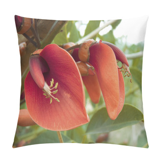 Personality  Ceibo Flowers Pillow Covers