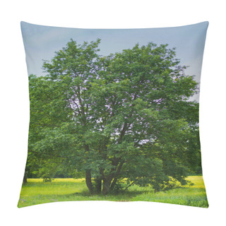 Personality  Branched Oak Pillow Covers