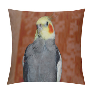 Personality  Parrot Corella, Gray And Orange Circles On The Head. Parrot Cockatiel. Pillow Covers