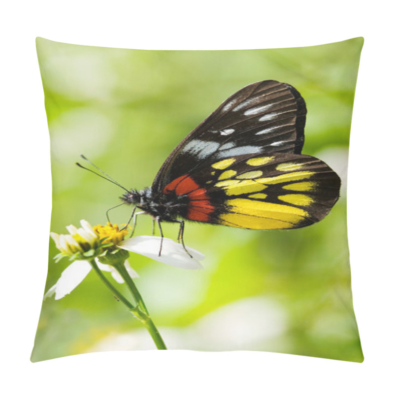 Personality  Corlorful Butterfly Pillow Covers