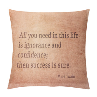 Personality  Ignorance And Confidence Twain Pillow Covers
