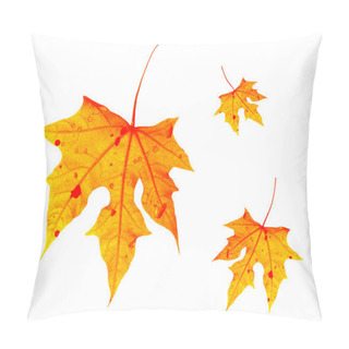 Personality  Autumnal Leaves Pillow Covers