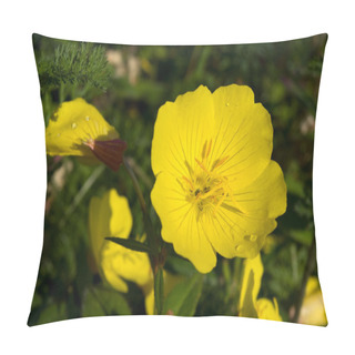 Personality  Evening Primrose Flowers Pillow Covers