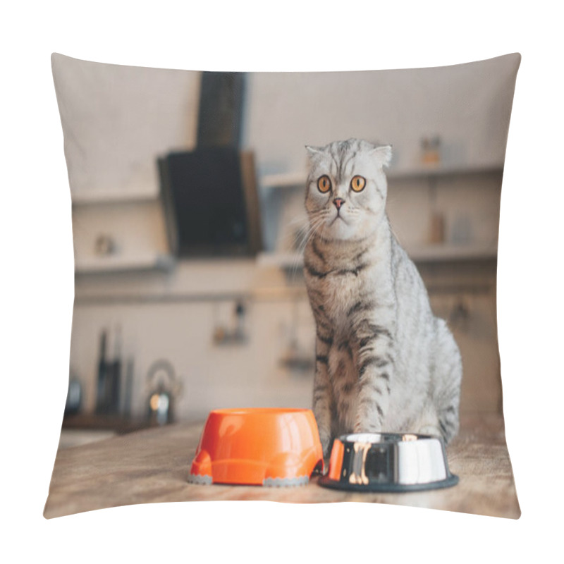 Personality  Scottish Fold Cat Sitting On Table Near Bowls With Pet Food Pillow Covers