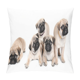 Personality  Cute Pug Puppies On White Background Pillow Covers