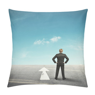 Personality  Background With Businessman Looking Forward In Desert And Arrow Pillow Covers