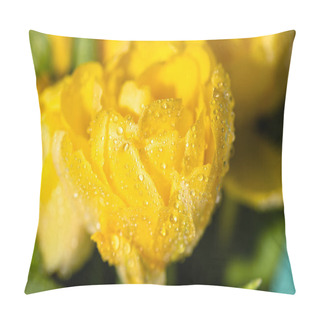 Personality  Close Up View Of Fresh Yellow Tulip With Water Drops Pillow Covers