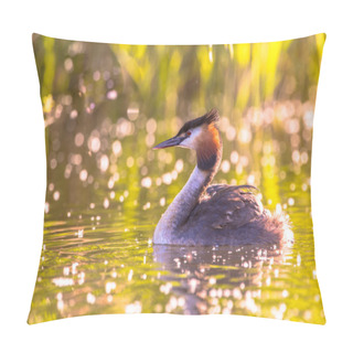 Personality  Great Crested Grebe  Pillow Covers