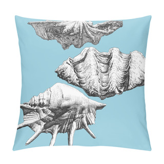 Personality  Illustration With Different Realistic Shells  Pillow Covers