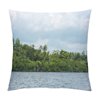 Personality  Rainforest Over River Bank Pillow Covers