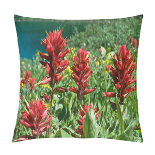 Personality  Coastal Indian Paintbrush (Castilleja Af Pillow Covers