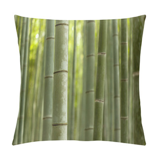 Personality  Bamboo Forest Closeup Pillow Covers