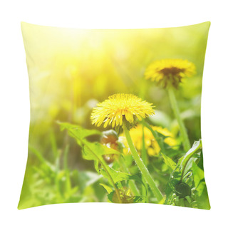 Personality  Dandelion Flowers Growing On Field Pillow Covers