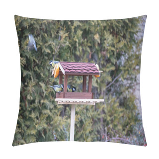 Personality  Beautiful Small Bird Great Tit On Bird Feeder Pillow Covers