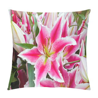 Personality  Amaryllis Flowers. Pillow Covers
