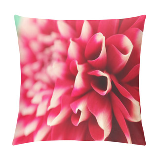 Personality  Abstract Petals Of Pink Dahlia Bloom Closeup(macro) Pillow Covers