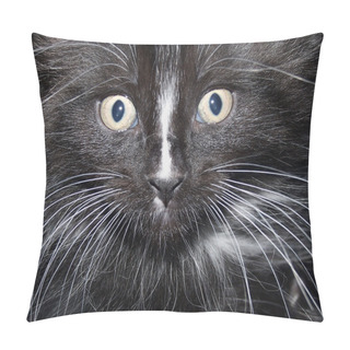 Personality  Cat's Face Pillow Covers