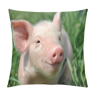 Personality  Young Pig On A Green Grass Pillow Covers