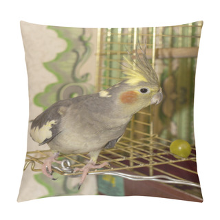 Personality  Parrot Near The Cell Pillow Covers