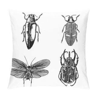 Personality  Big Set Of Insects, Bugs, Flying Beetles. Pillow Covers