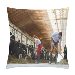Personality  Wide Angle Portrait Of Mature Couple Working Together In Cow Shed Cleaning And Feeding Cows, Copy Space Pillow Covers