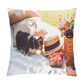 Personality  Cute Puppy At White Blanket With Picnic Wicker Basket, Pillows And Straw Hat At Sunny Day Pillow Covers