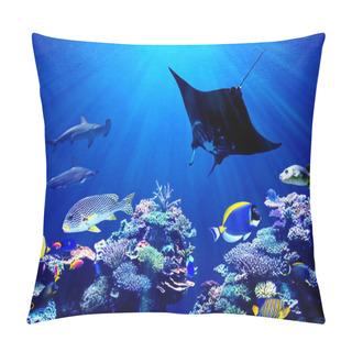 Personality  Background Of Underwater Coral Reef And Hammerhead Shark Meeting Manta Ray Pillow Covers