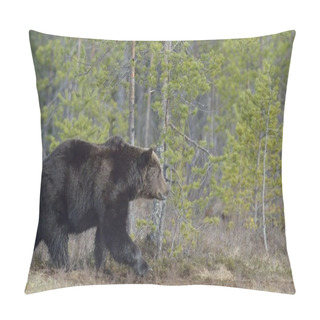 Personality  Adult Brown Bear Pillow Covers