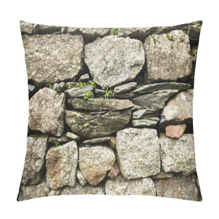 Personality  Close-up View Of Stone Wall And Green Plants Growing Through Stones In Indian Himalayas, Dharamsala, Baksu  Pillow Covers